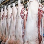 猪肉价格暴跌：中国市场面临严峻挑战