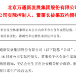 万通发展董事长王忆被公安带走调查，股市应声下跌