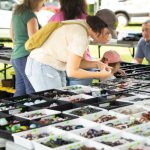 萃华珠宝陷入财务危机，股东股份遭冻结，面临严峻挑战