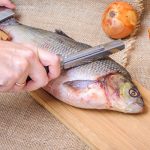 警惕！中国水产市场麻醉鱼类的隐患与健康风险