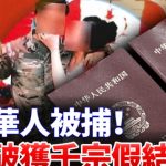 美国假结婚骗局曝光：逾千场婚姻背后的真相与中国结婚登记骤降的对比